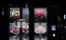 Kwiateria - kwiatynajurze.pl 